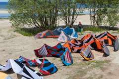 IMG_6767 IMG_6767