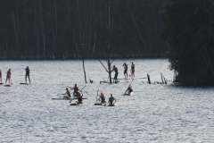 IMG_9659 IMG_9659
