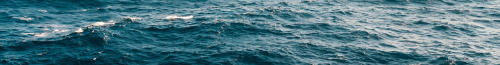 Fansurf surfikeskus